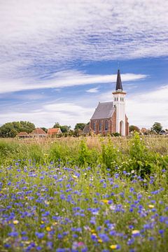 Kerk van Den Hoorn in bloemenvelden van Matthias van Bloemendaal