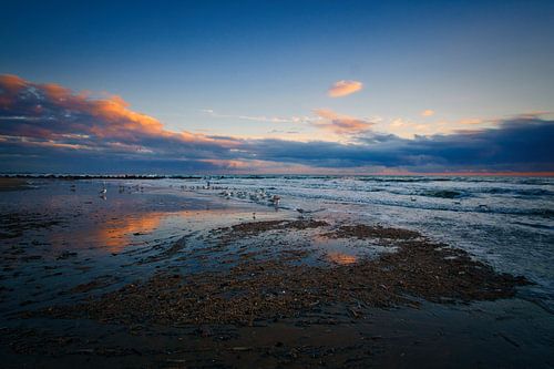 Op het strand van Blåvand bij zonsondergang aan zee