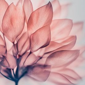 Sérénité pastel sur Cats & Dotz