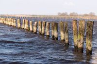 Als een paal boven water