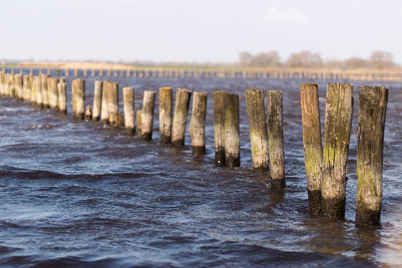 Als een paal boven water par Gert-Jan Kamans