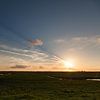 Zonsondergang in de Oostvaardersplassen van Jurgen Corts