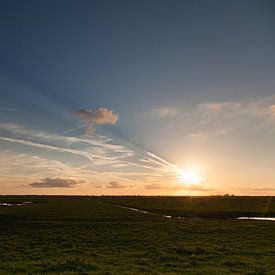 Coucher de soleil dans les Oostvaardersplassen sur Jurgen Corts