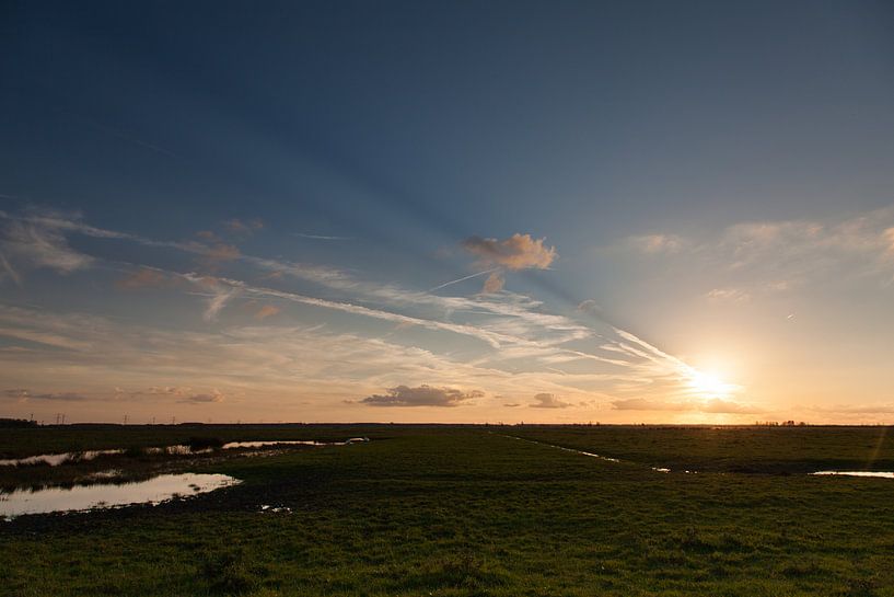 Zonsondergang in de Oostvaardersplassen van Jurgen Corts