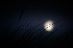 Waving at the moon sur Ruud Peters