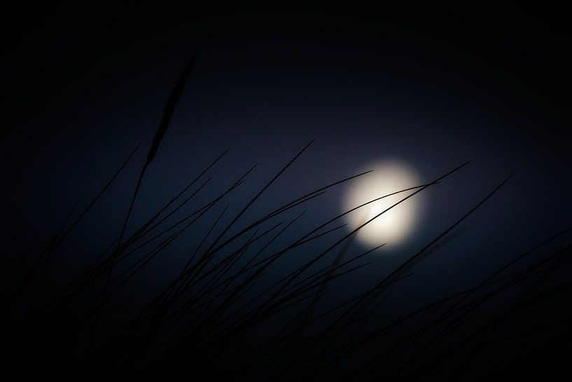 Waving at the moon par Ruud Peters