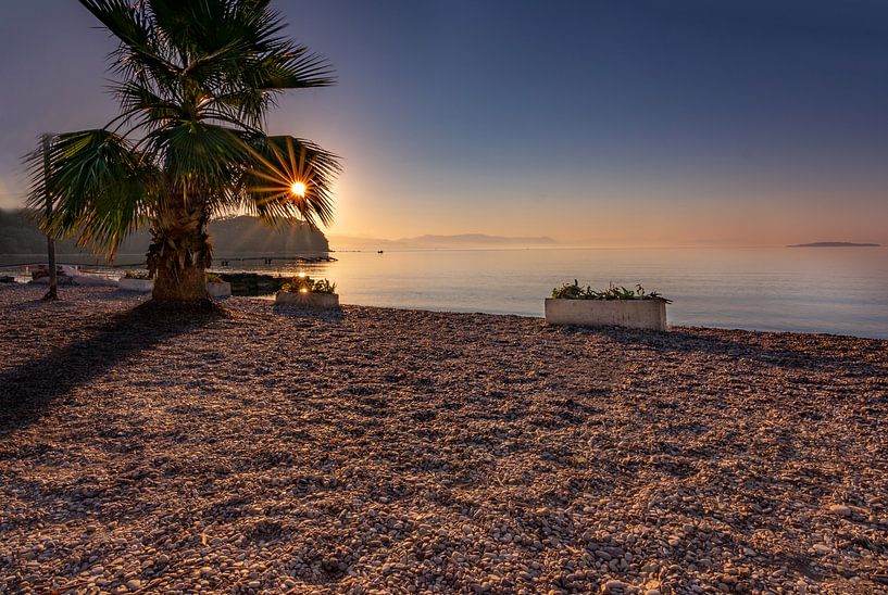 Zonnester door de palmboom op het stenen strand van Christian Klös