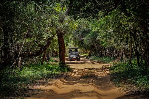 Sri Lanka; Eiland van de Wonderen