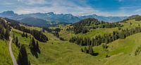 Die Alpen von der Col-de-Bretaye aus gesehen, Villars-sur-Ollon, Waadt, Schweiz von Rene van der Meer Miniaturansicht