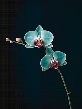 orchidee bloem portret van Virgil Quinn - Decorative Arts