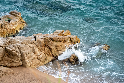 The Rhythm of the Waves and the Sea