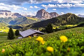 Sommer im Val Gardena Südtirol von Achim Thomae Photography