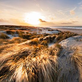 Het Zuid-Hollands landschap met een prachtig uitzicht op het duingebied, strand en zee. van Eelco de Jong