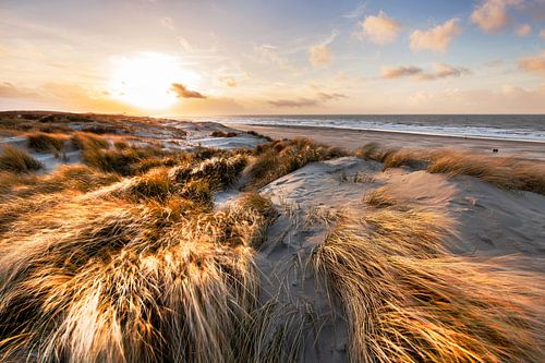 Die süd-holländische Landschaft