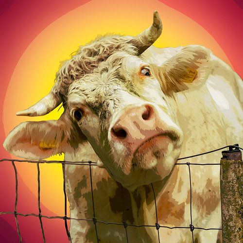 Popart koe. Koetje boe. Rood en geel.