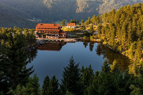 Berghotel Mummelsee aan de Mummelsee in het Zwarte Woud