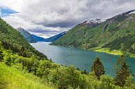 Uitzicht over de Fjærlandfsjord in Noorwegen van Rico Ködder thumbnail