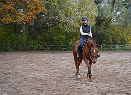 Training with the bay Oldenburg mare on a riding arena