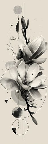 Magnolia bloesem