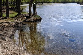 spiegeling von Robert Lotman