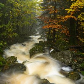 Herbstlicher Bachlauf im Mittelgebirge von Anselm Ziegler Photography