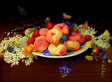 Still life "Wild peaches and elder" by Willy Sengers
