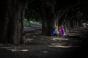 Twee vrouwen uit Myanmar zoeken de schaduw onder de bomen. Wout Kok One2expose Photography van Wout Kok