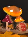HERFSTDECORATIE van Photoart-Naegele thumbnail