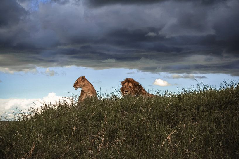 Serengeti watchers van BL Photography