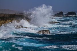 North coast Aruba by Ruurd van der Meulen