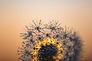 Tau, Flusen und Sonnenaufgang