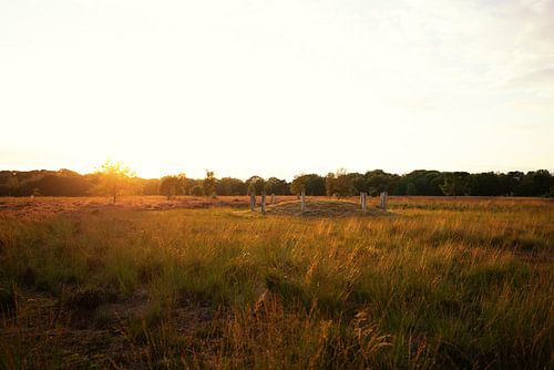 Zonsondergang op de heide