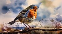 Robin