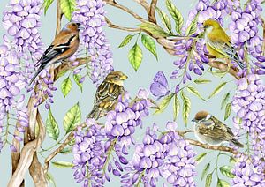 Oiseaux sur les branches de glycine