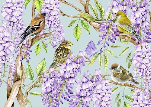 Vogeltjes op blauwe regen takken