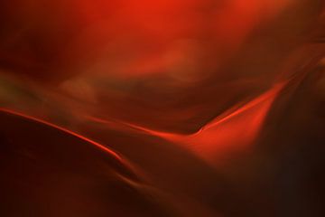 The red valley, Heidi Westum by 1x