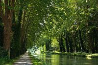 Pad langs het Canal du Midi