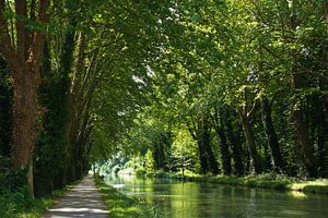 Pad langs het Canal du Midi van Anja B. Schäfer