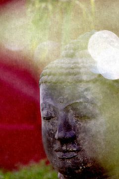 Head of Buddha by MR OPPX
