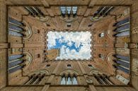 Palazzo Pubblico in Siena van Michael Valjak thumbnail