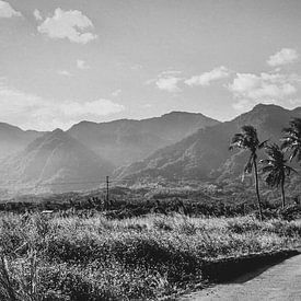 Photo en noir et blanc de l'est de Taïwan. sur Erik Juffermans