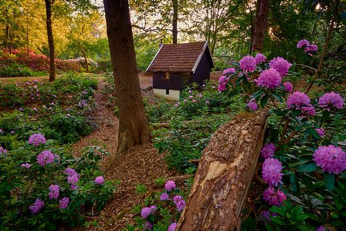 Sprookjeslandschap met rododendrons en huisje