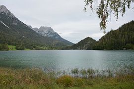 Smaragdgrüne Stille von Nature Untouched Photography