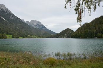 Smaragdgrüne Stille