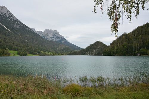 Smaragdgrüne Stille