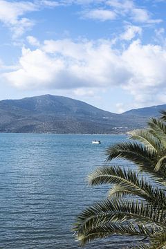 Photo of boat in turquoise sea with palm tree