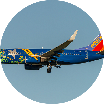 Southwest Airlines Boeing 737 in 