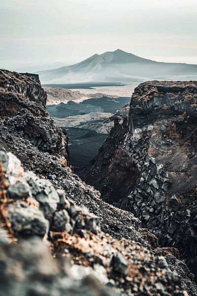 see-through by Imperial Art House