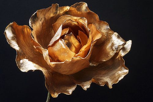 Gouden roos met metallic uitstraling