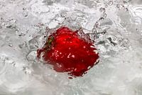 De paprika